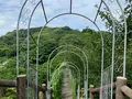 因島水軍城の写真_379658