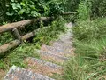 大浜埼燈台の写真_379713