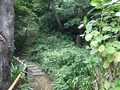 報国寺（竹寺）の写真_379773