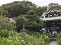 報国寺（竹寺）の写真_379809