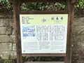 報国寺（竹寺）の写真_380033