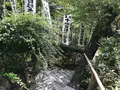 報国寺（竹寺）の写真_380092