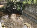 報国寺（竹寺）の写真_380175