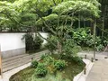 報国寺（竹寺）の写真_380270