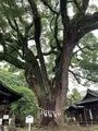 艮神社の写真_380414