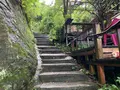 猫の細道の写真_380425