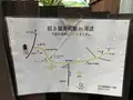 猫の細道の写真_380427