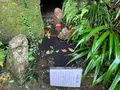 猫の細道の写真_380428