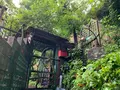 猫の細道の写真_380431