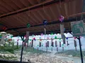 千光寺の写真_380478