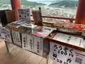 千光寺の写真_380494