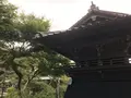 報国寺（竹寺）の写真_380659