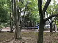 せせらぎ公園の写真_381005