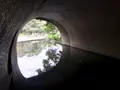 せせらぎ公園の写真_381010