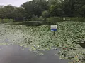 せせらぎ公園の写真_381019