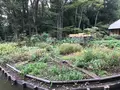 せせらぎ公園の写真_381033