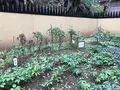 せせらぎ公園の写真_381115