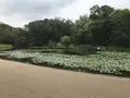せせらぎ公園の写真_381124
