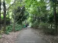 せせらぎ公園の写真_381129