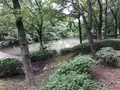 せせらぎ公園の写真_381132