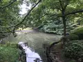 せせらぎ公園の写真_381133