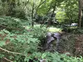 せせらぎ公園の写真_381134