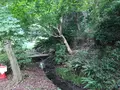 せせらぎ公園の写真_381135