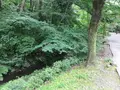 せせらぎ公園の写真_381137
