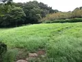 せせらぎ公園の写真_381142