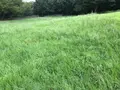 せせらぎ公園の写真_381143