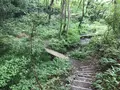 せせらぎ公園の写真_381145