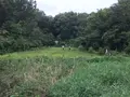 せせらぎ公園の写真_381149