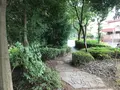 せせらぎ公園の写真_381150