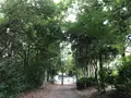 せせらぎ公園の写真_381151
