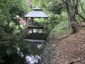 せせらぎ公園の写真_381154