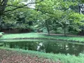 せせらぎ公園の写真_381156