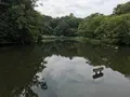 せせらぎ公園の写真_381167