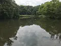 せせらぎ公園の写真_381168