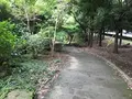 せせらぎ公園の写真_381170
