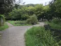 せせらぎ公園の写真_381174