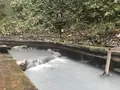 大湯沼川天然足湯の写真_381587