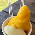 ミルミル本舗の写真_381678