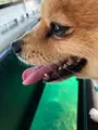 川平湾の写真_381687