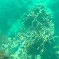 川平湾の写真_381691