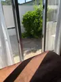 名蔵ヴィレッジの写真_381698