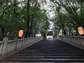 福山八幡宮の写真_381948
