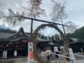 福山八幡宮の写真_381962