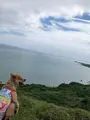 平久保崎灯台の写真_382173
