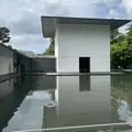 鈴木大拙館の写真_382291