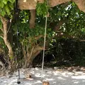 カイジ浜の写真_382691